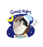 Tono nyan（個別スタンプ：6）