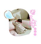 ゆあスタンプだっちゃ（個別スタンプ：5）