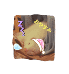 〜フェレットの日常〜（個別スタンプ：2）