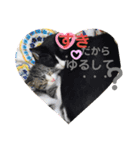 ほたてくんとつぶ男くん3（個別スタンプ：6）