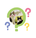 ほたてくんとつぶ男くん3（個別スタンプ：8）
