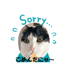げんき、元気（個別スタンプ：3）