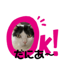 げんき、元気（個別スタンプ：4）