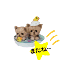 ワンワンだ・わん③（個別スタンプ：8）