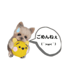 ワンワンだ・わん③（個別スタンプ：9）