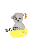 ワンワンだ・わん③（個別スタンプ：10）