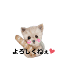 ワンワンだ・わん③（個別スタンプ：19）