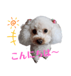 リアんだよ～（個別スタンプ：1）