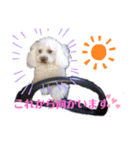 リアんだよ～（個別スタンプ：2）