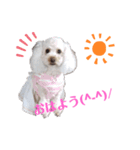 リアんだよ～（個別スタンプ：4）