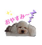 リアんだよ～（個別スタンプ：5）