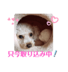 リアんだよ～（個別スタンプ：6）