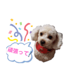 リアんだよ～（個別スタンプ：7）