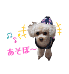リアんだよ～（個別スタンプ：8）