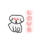 かわいい動物イラスト（個別スタンプ：1）