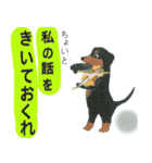 ピアニストのスタンプ（個別スタンプ：14）