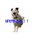おもちゃん★（個別スタンプ：2）