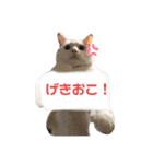 おもちゃん★（個別スタンプ：9）