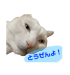 おもちゃん★（個別スタンプ：10）