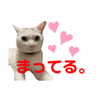 おもちゃん★（個別スタンプ：12）