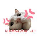 おもちゃん★（個別スタンプ：14）