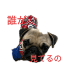 マメの1日（個別スタンプ：2）