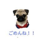 マメの1日（個別スタンプ：4）