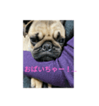 マメの1日（個別スタンプ：6）