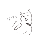我が家のまめしば 2（個別スタンプ：3）