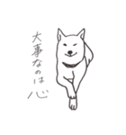 我が家のまめしば 2（個別スタンプ：24）