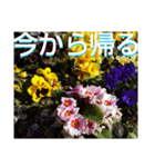 お花の言葉      「今から帰る」（個別スタンプ：2）