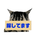 にゃんこ酒飲み友編デカ文字あり（個別スタンプ：2）
