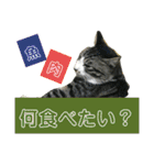 にゃんこ酒飲み友編デカ文字あり（個別スタンプ：6）