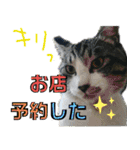 にゃんこ酒飲み友編デカ文字あり（個別スタンプ：9）