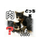 にゃんこ酒飲み友編デカ文字あり（個別スタンプ：10）