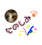 にゃんこ酒飲み友編デカ文字あり（個別スタンプ：11）