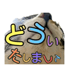 にゃんこ酒飲み友編デカ文字あり（個別スタンプ：18）