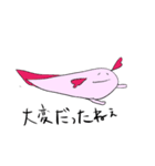 いとしのウーパールーパーさん（個別スタンプ：31）