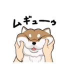 シバシバなスタンプ（個別スタンプ：32）