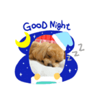 星ココちゃんスタンプ（個別スタンプ：1）