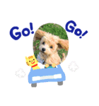 星ココちゃんスタンプ（個別スタンプ：6）