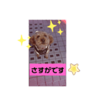 尊敬スタンプ（個別スタンプ：1）