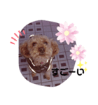 尊敬スタンプ（個別スタンプ：4）