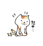 猫と犬と鳥の日々（個別スタンプ：20）