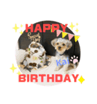 Yorkieカイくんスタンプ（個別スタンプ：4）