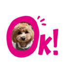 キャンディーとモモ（個別スタンプ：6）