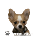ちくわのスタンプ1（個別スタンプ：7）