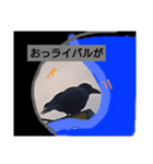 鳩ぽっぽー（個別スタンプ：4）