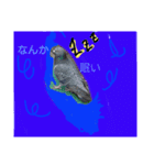 鳩ぽっぽー（個別スタンプ：6）
