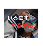 いるにすさんのスタンプ（個別スタンプ：8）